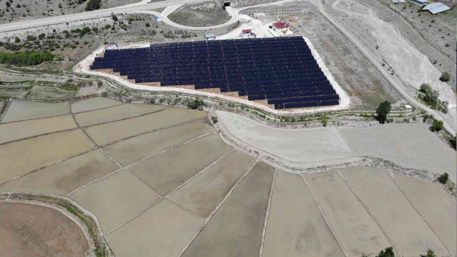 Yurtdışında gördü, çorak arazisine 'güneş' ekti