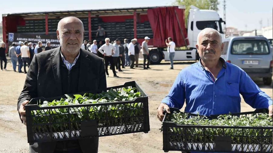 9 bin 640 çiftçiye 9,5 milyon sebze fidesi dağıtıldı