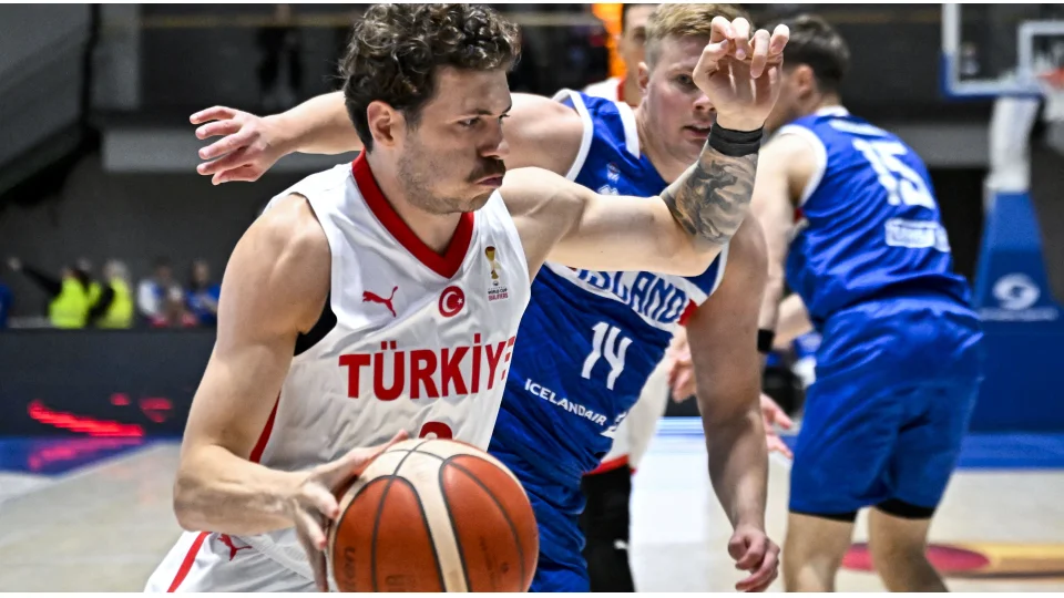 A Milli Erkek Basketbol Takımı, Dünya Kupası'nda