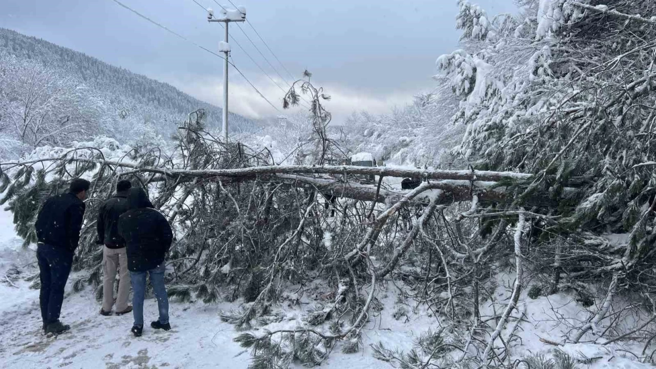 Abant yoluna aa devrildi, tatilciler yolda kald