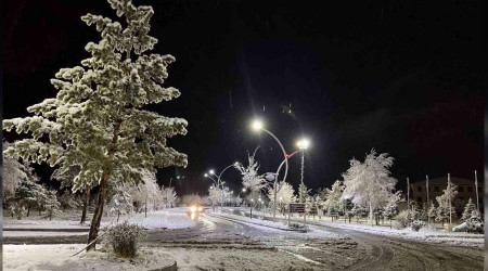 Ağrı beyaza büründü