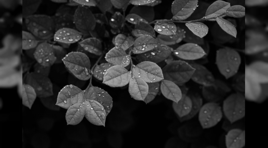 ‘Allah’ı kâmil şekilde zikret’