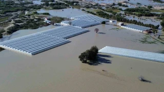 Antalya Kaş'ta seralar sular altında kaldı