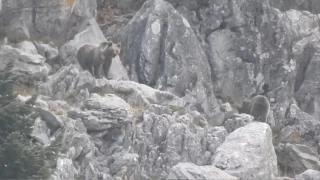 Antalya'da k uykusuna yatmayan aylar byle grntlendi