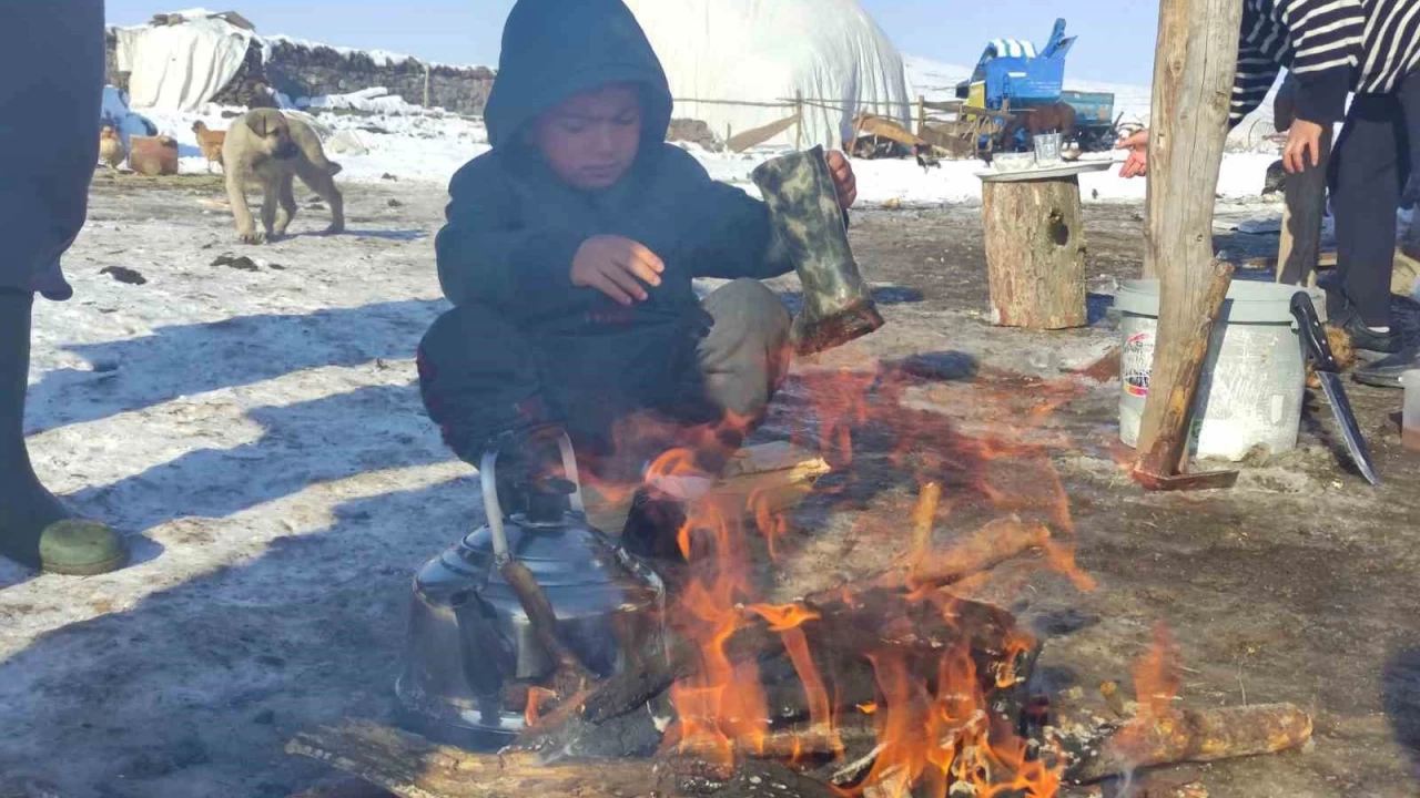 Ardahan'da Sibirya souklar