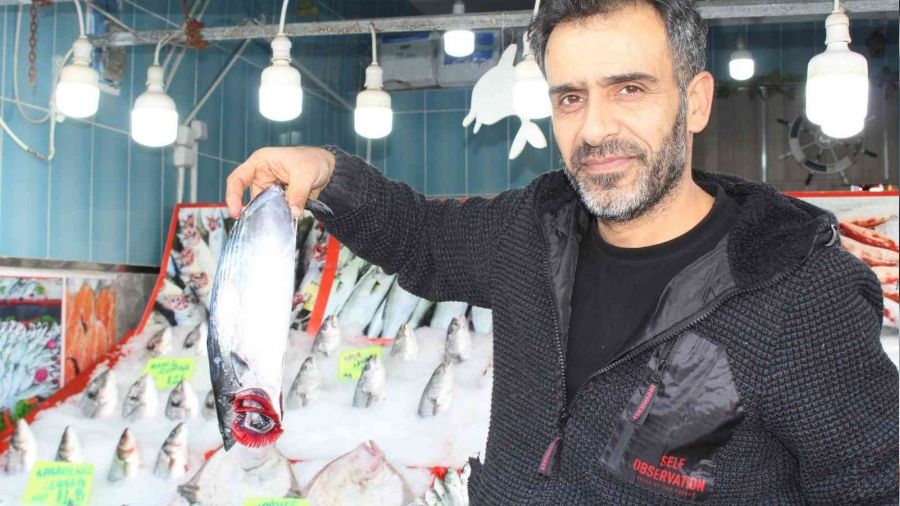 Balıkta bereket yılı ama fakir alamıyor