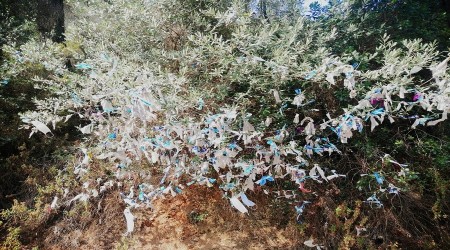 Batılın da batılı