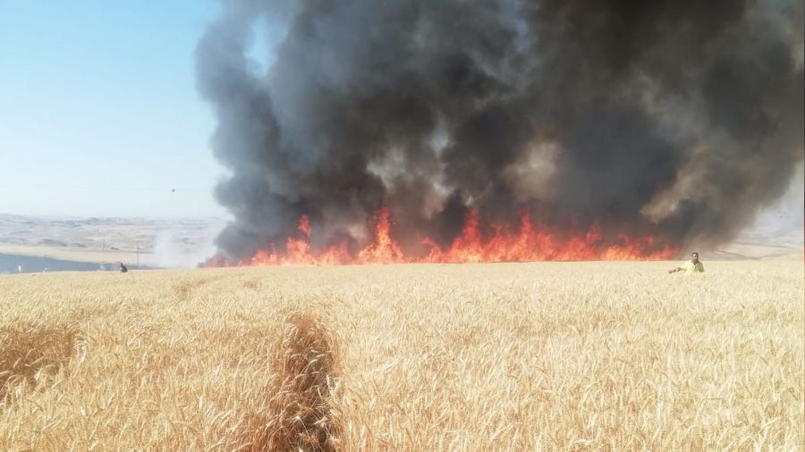 Batman'da da 200 dönüm buğday tarlası küle döndü