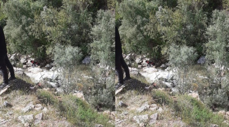 Bitlis'te otomobil dereye uçtu: 1 ölü, 2 yaralı