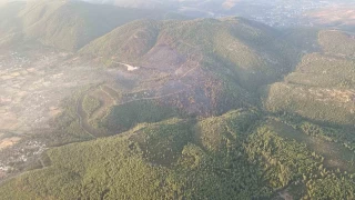 Bodrum'da orman yangn 18 saat sonra kontrol altna alnd
