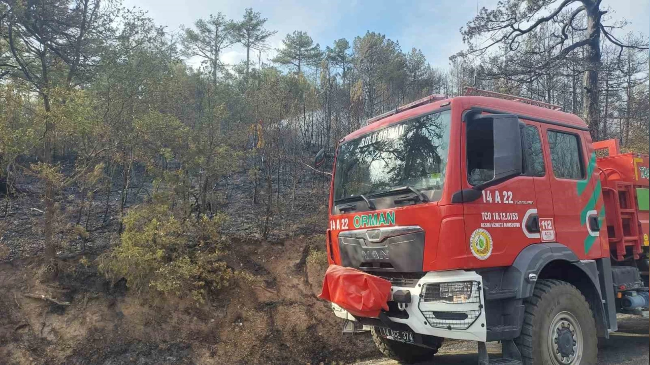 Bolu'da orman yangn kontrol altna alnd