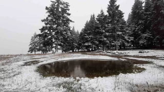 Bolu'nun yüksek kesimleri beyaz örtüyle kaplandı