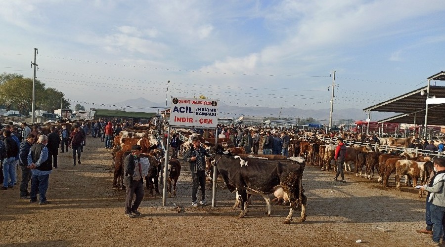 Büyükbaş hayvan pazarlarında durgunluk