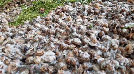 Çuvallara içerisinde ele geçirilenler herkesi şoke etti