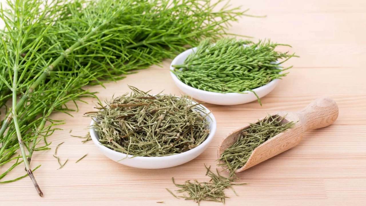 Enfeksiyonlara iyi gelen şifalı bitkiler