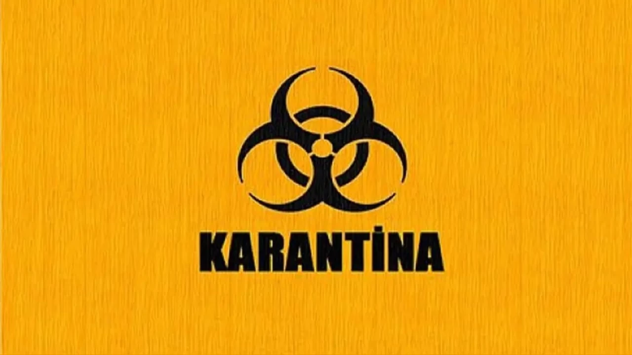 Eskişehir'de kuş gribi alarmı: 5 mahalle karantinaya alındı