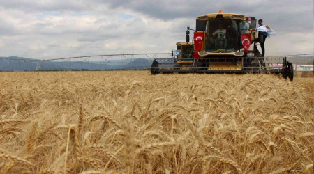Geçen yılın en kurak kenti Amasya'da yağışlar berekete dönüştü