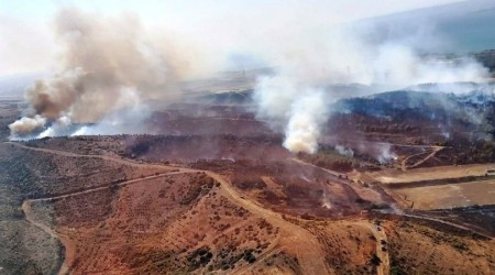 Gelibolu'da yine orman yangını