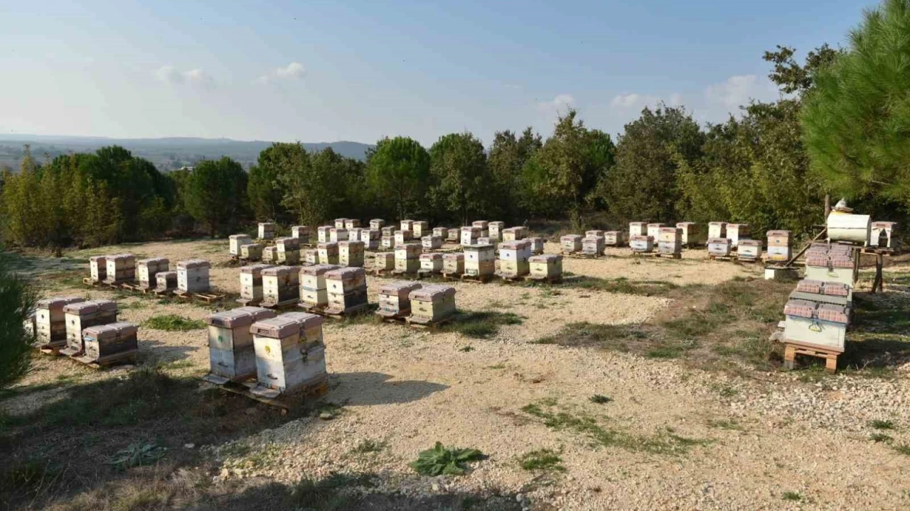 Gıda güvenliğinde geldiğimiz nokta