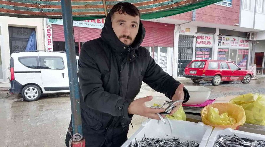 Hava koşulları hamsiyi etkiledi