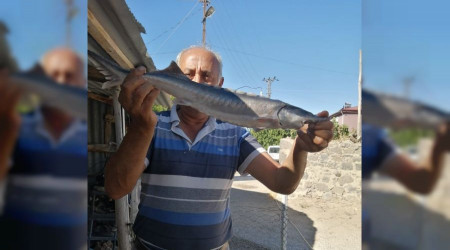 Havyar 2 milyon liraya kadar kan balk, bykl ile artt