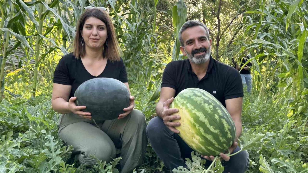 Hem öğretmen hem de çiftçi
