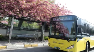 İETT saha denetimleri gerçekleştirdi