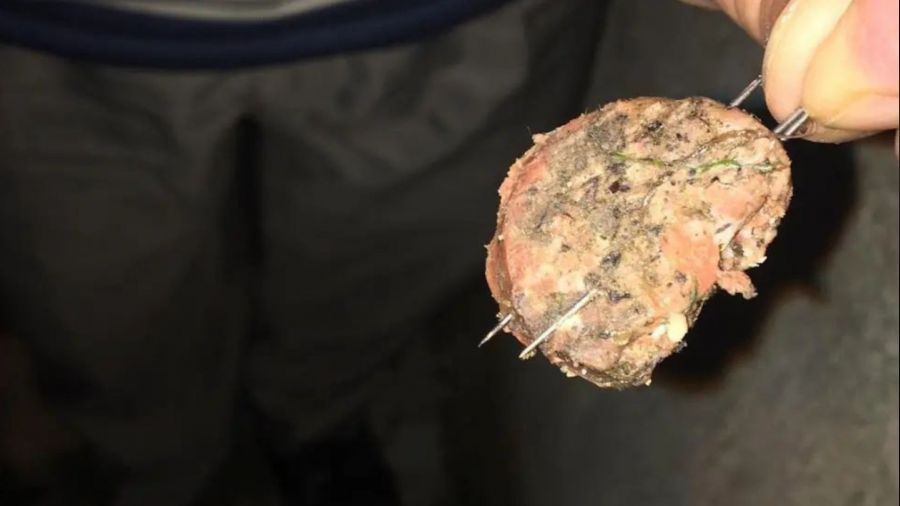 İğneleri sucuklara saplayıp köpeklere yedirmeye çalıştılar