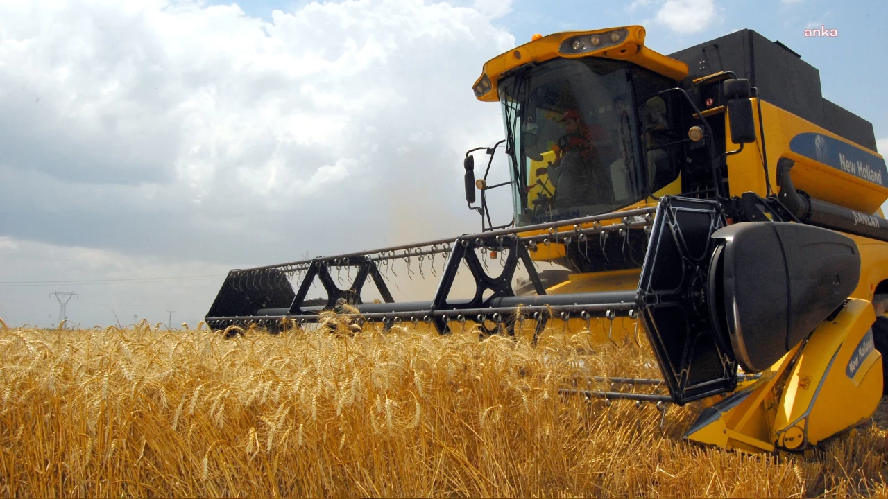 İklim krizi tahıl üretimini tehdit ediyor