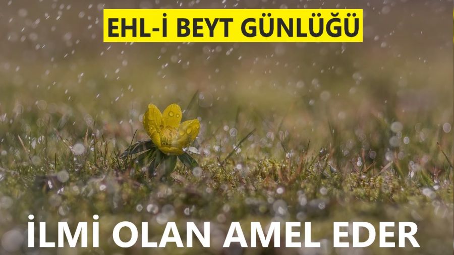 ‘İlmi olan amel eder’