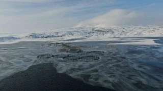 İmranlı adeta dondu, termometreler -19.4'ü gösterdi