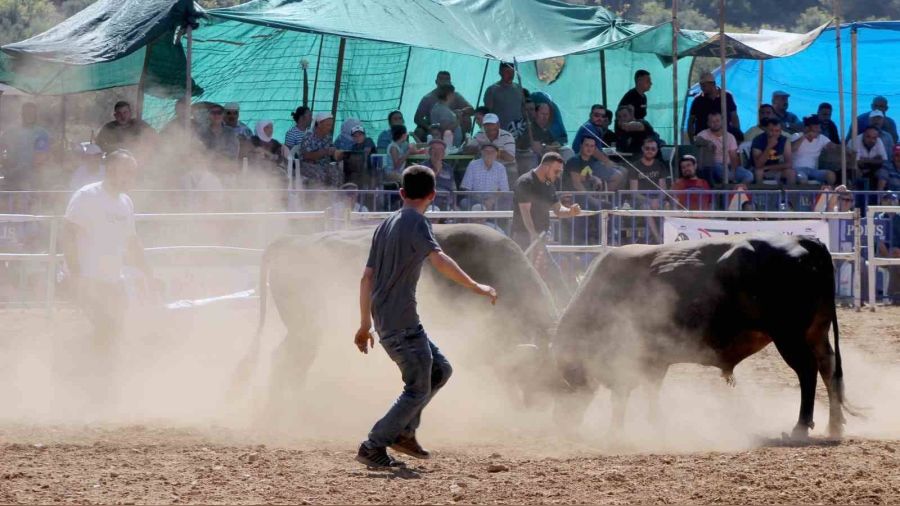 İspanya değil Muğla