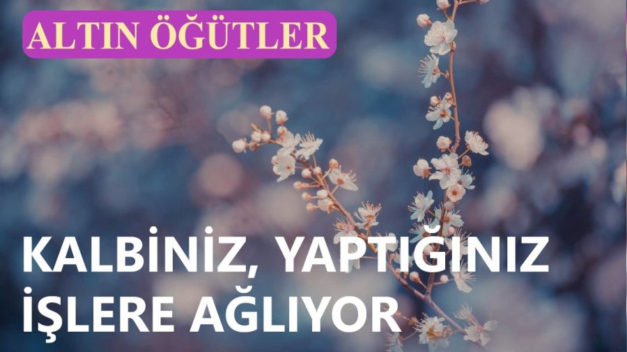 ‘Kalbiniz, yaptığınız işlere ağlıyor’