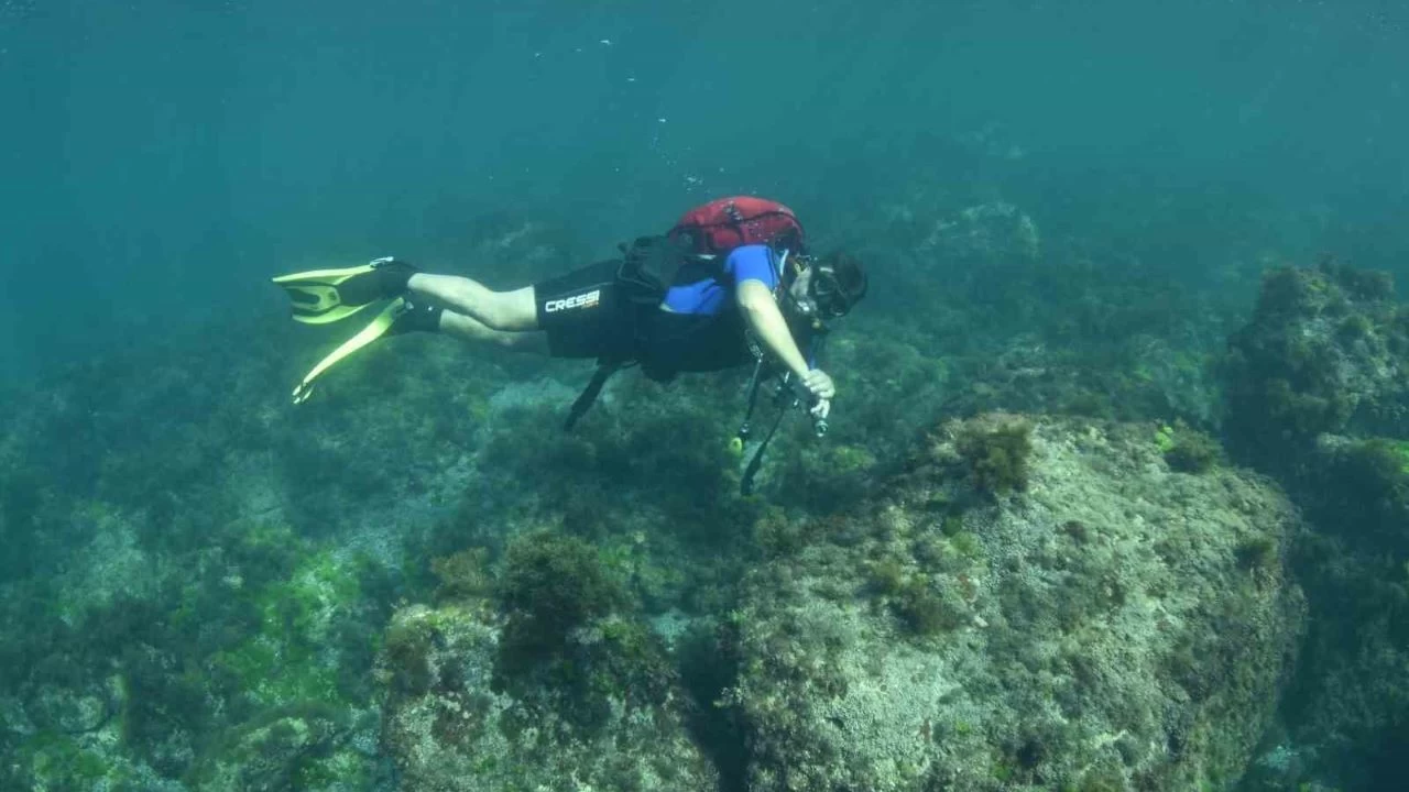 Karadeniz'in su altı güzellikleri keşfedilecek
