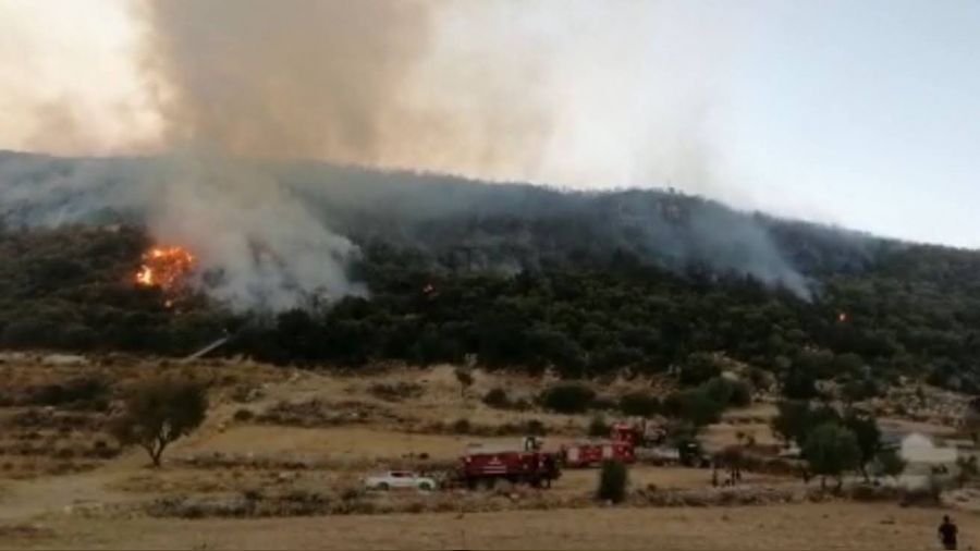 Kaş'ta orman yangını kontrol altına alındı