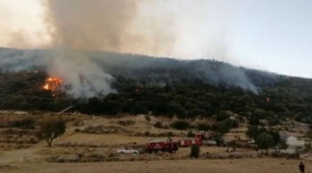 Kaş'ta orman yangını kontrol altına alındı