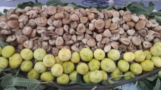 Kuru incir ihracatı 2 ayda 90 milyon dolar oldu