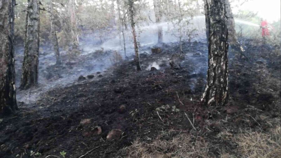 Kütahya'da orman yangını kontrol altına alındı