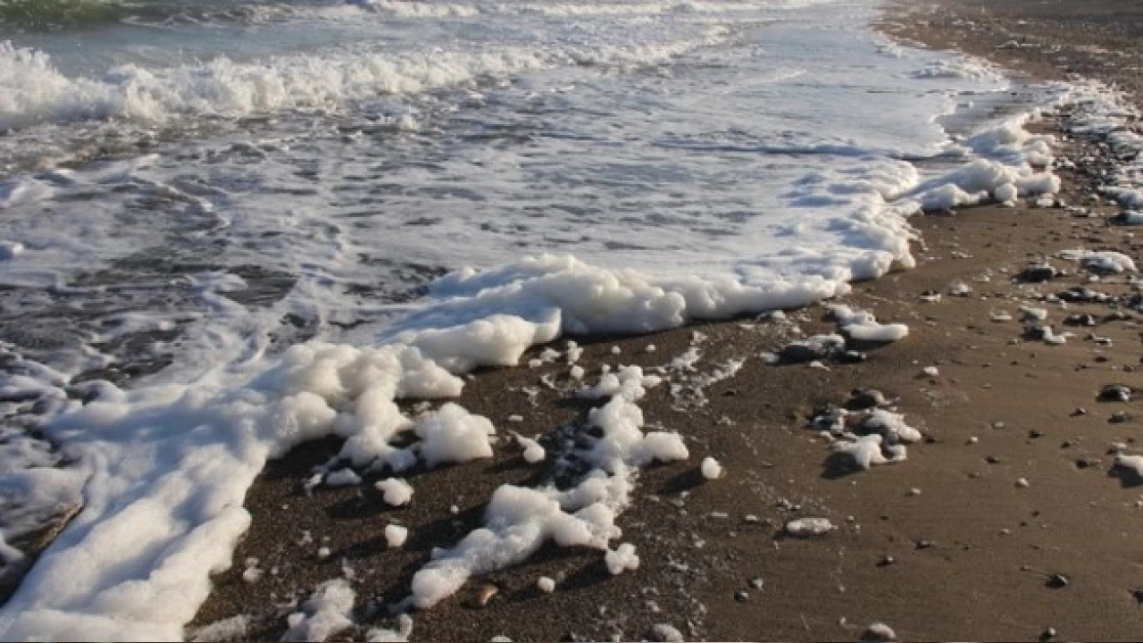 Mersin Krfezi'ndeki kpklenme iin 'msilajdan beter' yorumu