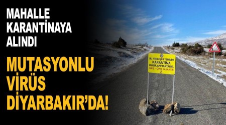 Mutasyonlu virüs Diyarbakır'da