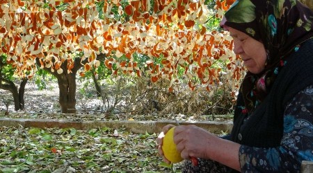 Narenciye kabukları kurutularak ekonomiye kazandırılıyor