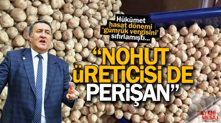 Nohut üreticileri perişan durumda