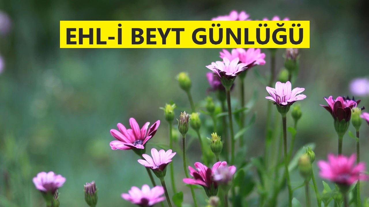 ‘Sakın zorba âlimlerden olmayın’