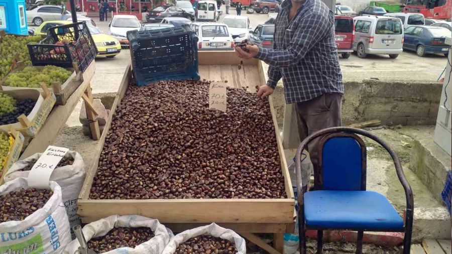 Sinop'ta kestane 70 TL