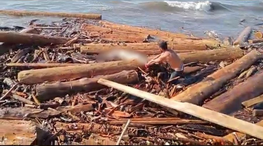 Sinop'ta tomruklarn arasnda bir ceset daha bulundu