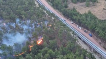 Soma'daki orman yangınında 50 hektarlık alan zarar gördü