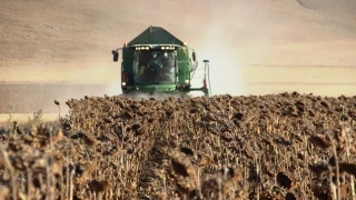 Tarım ÜFE yıllık yüzde 31.45 arttı