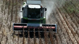 Tarımda maliyet yüzde 43,58 arttı