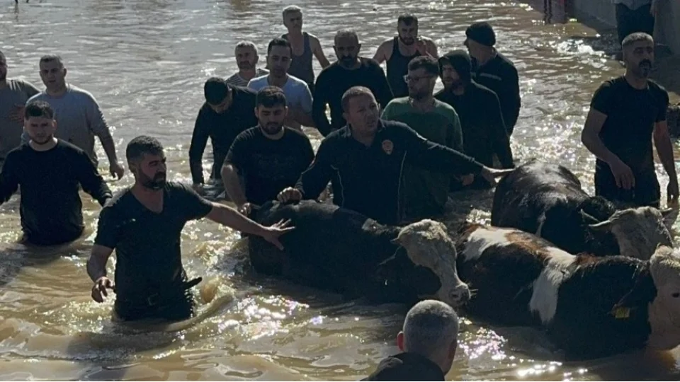 Taşan Gediz Nehri dolayısıyla mahsur kalanlar kurtarıldı