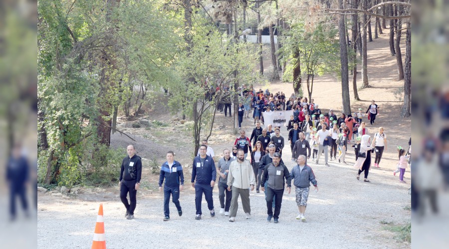 Türkiye'nin yüzde 72'si hareketsiz